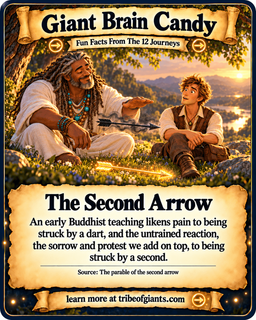 Giant Brain Candy: The Second Arrow. An early Buddhist teaching likens pain to being struck by a dart, and the untrained reaction, the sorrow and protest we add on top, to being struck by a second. Source: The parable of the second arrow.