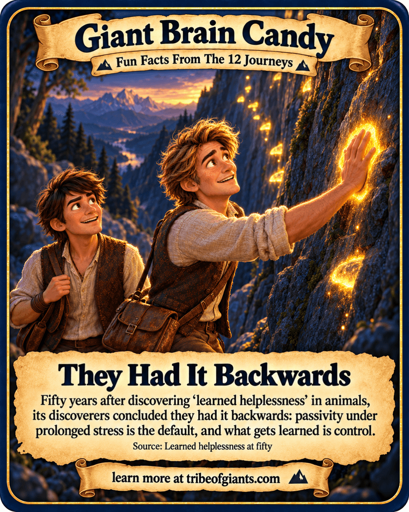Giant Brain Candy: They Had It Backwards. Fifty years after discovering ‘learned helplessness’ in animals, its discoverers concluded they had it backwards: passivity under prolonged stress is the default, and what gets learned is control. Source: Learned helplessness at fifty.