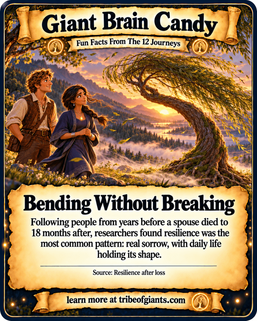Giant Brain Candy: Bending Without Breaking. Following people from years before a spouse died to 18 months after, researchers found resilience was the most common pattern: real sorrow, with daily life holding its shape. Source: Resilience after loss.