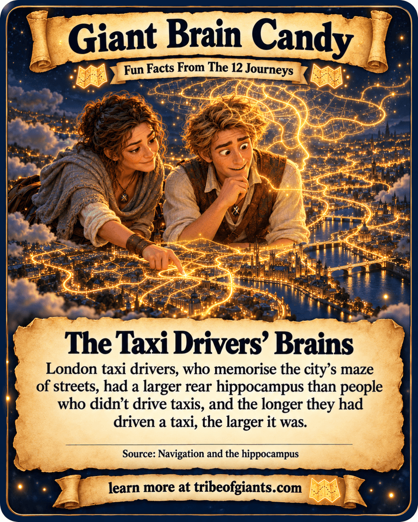 Giant Brain Candy: The Taxi Drivers’ Brains. London taxi drivers, who memorise the city’s maze of streets, had a larger rear hippocampus than people who didn’t drive taxis, and the longer they had driven a taxi, the larger it was. Source: Navigation and the hippocampus.