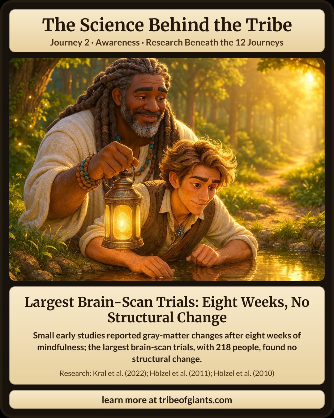The Science Behind the Tribe: Largest Brain-Scan Trials: Eight Weeks, No Structural Change. Small early studies reported gray-matter changes after eight weeks of mindfulness; the largest brain-scan trials, with 218 people, found no structural change.